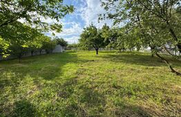 Teren intravilan de vânzare, 954 mp, str. Iancu Jianu