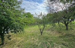 Teren intravilan de vânzare, 954 mp, str. Iancu Jianu