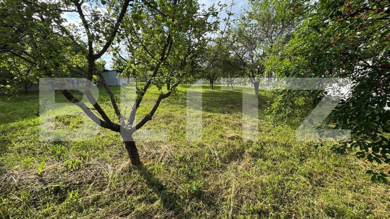 Teren de vânzare Centura - 204452TV | BLITZ Bistriţa | Poza2