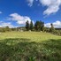Teren de vânzare Exterior Nord - 204590TV - Poza 1 din 5 | BLITZ Bistriţa | Poza3