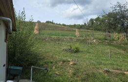 Casa de vanzare, 40 mp, 12 ari de teren, zona Rebrisoara