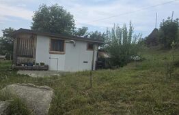 Casa de vanzare, 40 mp, 12 ari de teren, zona Rebrisoara