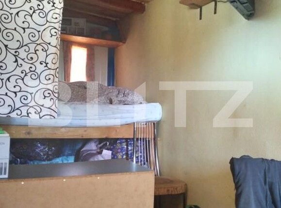 Casa de vânzare 2 camere Rebrisoara - 204861CV | BLITZ Bistriţa | Poza6