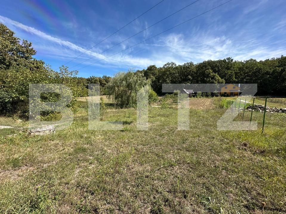 Casa de vânzare 4 camere Figa - 205056CV | BLITZ Bistriţa | Poza2