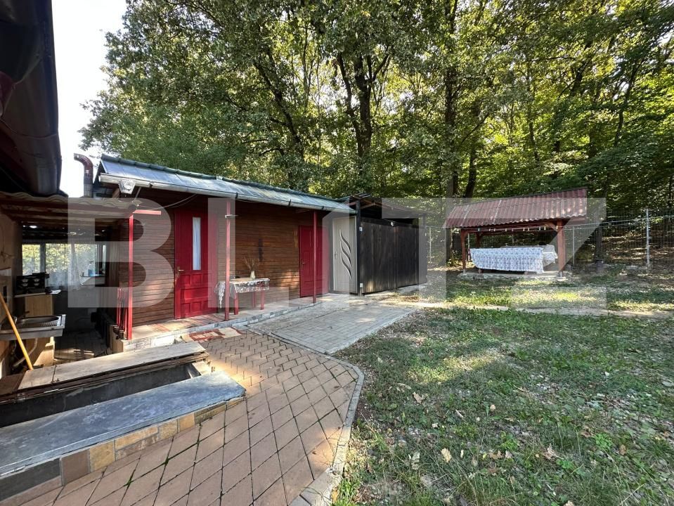 Casa de vânzare 4 camere Figa - 205056CV | BLITZ Bistriţa | Poza17