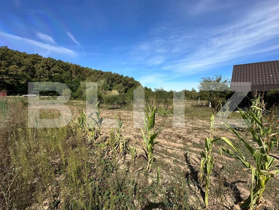 Casa de vânzare 4 camere Figa - 205056CV | BLITZ Bistriţa | Poza18