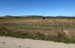 Teren intravilan, 2.250 mp, de vanzare, zona Chintelnic 