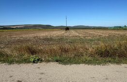 Teren intravilan, 2.250 mp, de vanzare, zona Chintelnic 