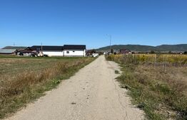 Teren intravilan, 2.250 mp, de vanzare, zona Chintelnic 