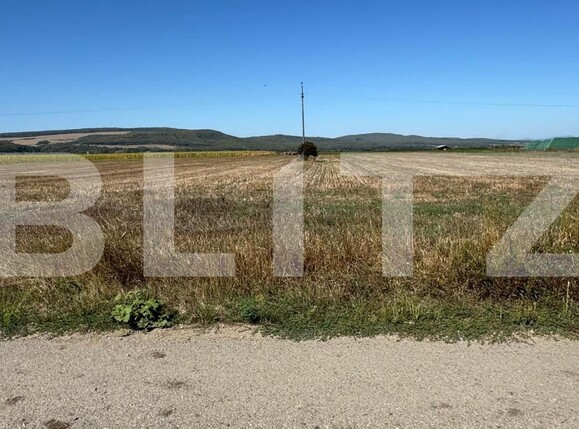 Teren de vânzare Sud - 205210TV | BLITZ Bistriţa | Poza2