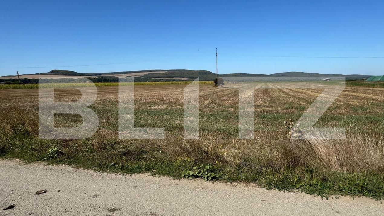 Teren de vânzare Sud - 205210TV | BLITZ Bistriţa | Poza3