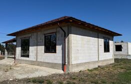 Casa de vanzare, 111 mp, 800 mp de teren, zona Chintelnic