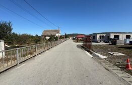 Casa de vanzare, 111 mp, 800 mp de teren, zona Chintelnic