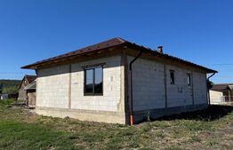 Casa de vanzare, 111 mp, 800 mp de teren, zona Chintelnic