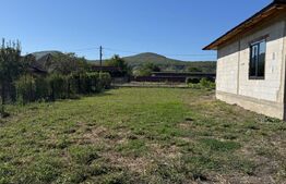 Casa de vanzare, 111 mp, 800 mp de teren, zona Chintelnic
