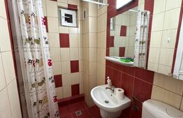 Inchiriere apartament 4 camere, 100 mp, zona Parcului Municipal