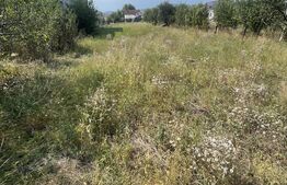 Teren intravilan, 1000 mp, zona Zavoaie