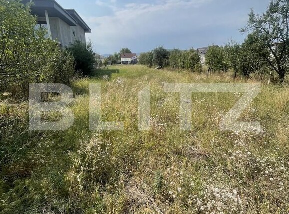 Teren de vânzare Independenței - 205453TV | BLITZ Bistriţa | Poza3