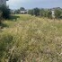 Teren de vânzare Independenței - 205453TV - Poza 1 din 3 | BLITZ Bistriţa | Poza1