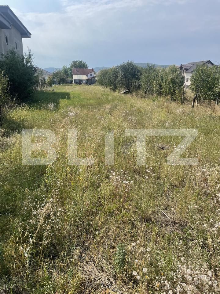 Teren de vânzare Independenței - 205453TV | BLITZ Bistriţa | Poza2