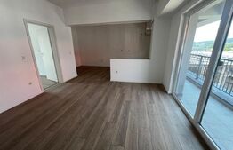 Apartament 2 camere, 44 mp, zona Decebal