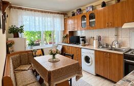 Apartament 2 camere, 53 mp, zona Decebal