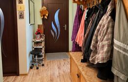 Apartament 2 camere, 53 mp, zona Decebal