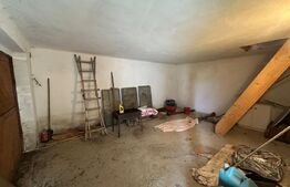 Casă + teren 27 ari | Măgurele – 20 km de Bistrița | Oportunitate de investiție
