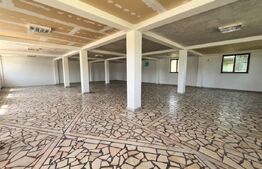 Spatiu cu vitrina, 775 mp, teren 800 mp, zona Libertatii Sanovil
