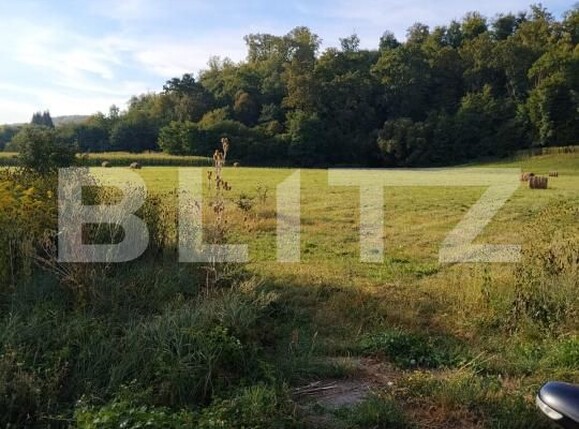 Teren de vânzare Arcalia - 205842TV | BLITZ Bistriţa | Poza2
