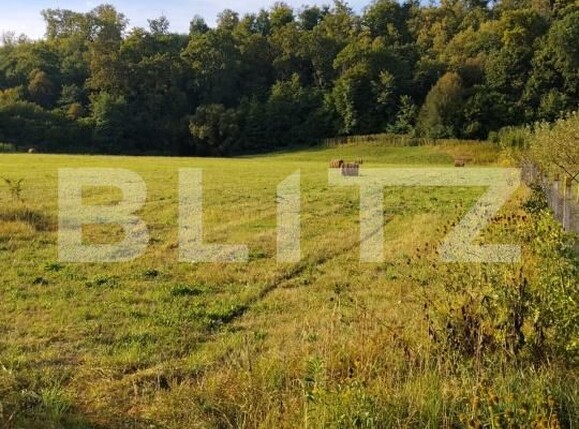 Teren de vânzare Arcalia - 205842TV | BLITZ Bistriţa | Poza1