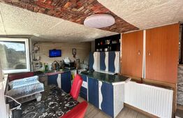 Casa de vanzare, 110 mp, 650 mp teren, zona Viisoara