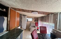 Casa de vanzare, 110 mp, 650 mp teren, zona Viisoara