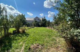 Casa de vanzare, 110 mp, 650 mp teren, zona Viisoara