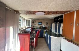 Casa de vanzare, 110 mp, 650 mp teren, zona Viisoara
