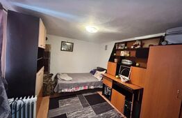 Casa de vanzare, 110 mp, 650 mp teren, zona Viisoara