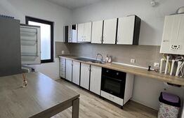 Casa cu etaj, 120 mp, curte 5 ari, Cartier Subcetate