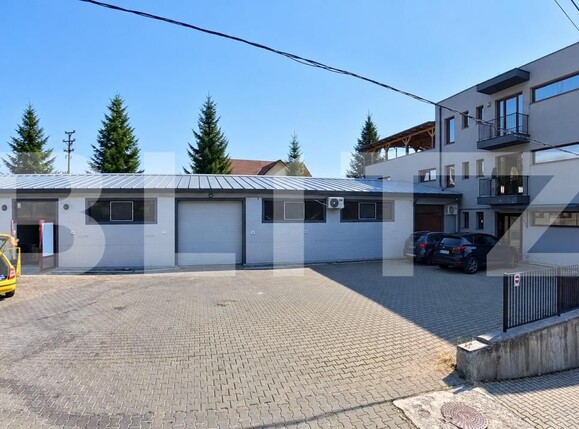 Spațiu industrial de vânzare Centura - 206103SVI | BLITZ Bistriţa | Poza1