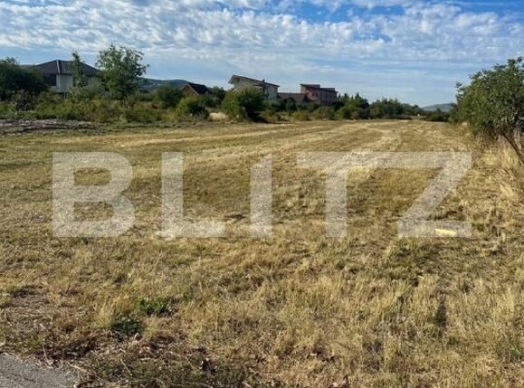 Teren de vânzare Centura - 206304TV | BLITZ Bistriţa | Poza1