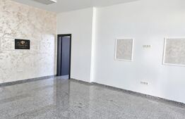 Spațiu comercial, 54 mp, zona Calea Moldovei