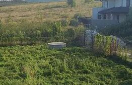 Casa de vanzare, teren 1100 mp, zona Sud