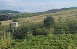 Casa de vanzare, teren 1100 mp, zona Sud
