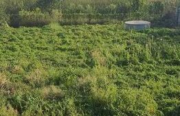 Casa de vanzare, teren 1100 mp, zona Sud
