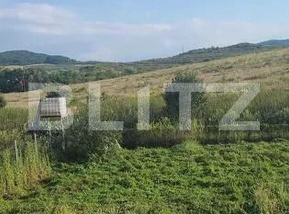 Casa de vânzare 4 camere Sud - 206365CV | BLITZ Bistriţa | Poza4