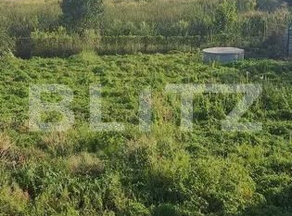 Casa de vânzare 4 camere Sud - 206365CV | BLITZ Bistriţa | Poza3