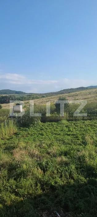 Casa de vânzare 4 camere Sud - 206365CV | BLITZ Bistriţa | Poza4