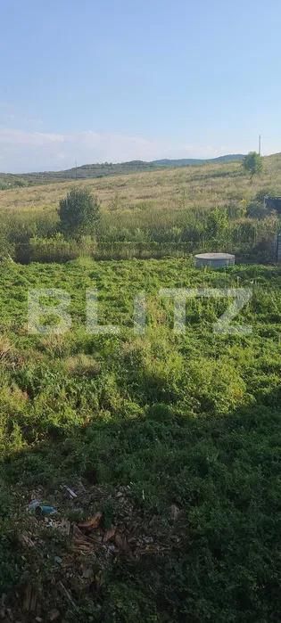 Casa de vânzare 4 camere Sud - 206365CV | BLITZ Bistriţa | Poza3
