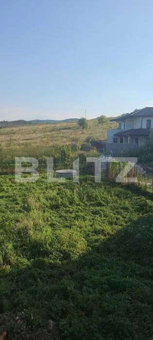 Casa de vânzare 4 camere Sud - 206365CV | BLITZ Bistriţa | Poza5