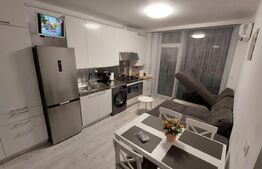 Apartament de inchiriat, 2 camere, 43 mp, parcare, zona Caleea Moldovei