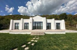 Casa 140.86 mp, teren 2100 mp, zona Viisoara